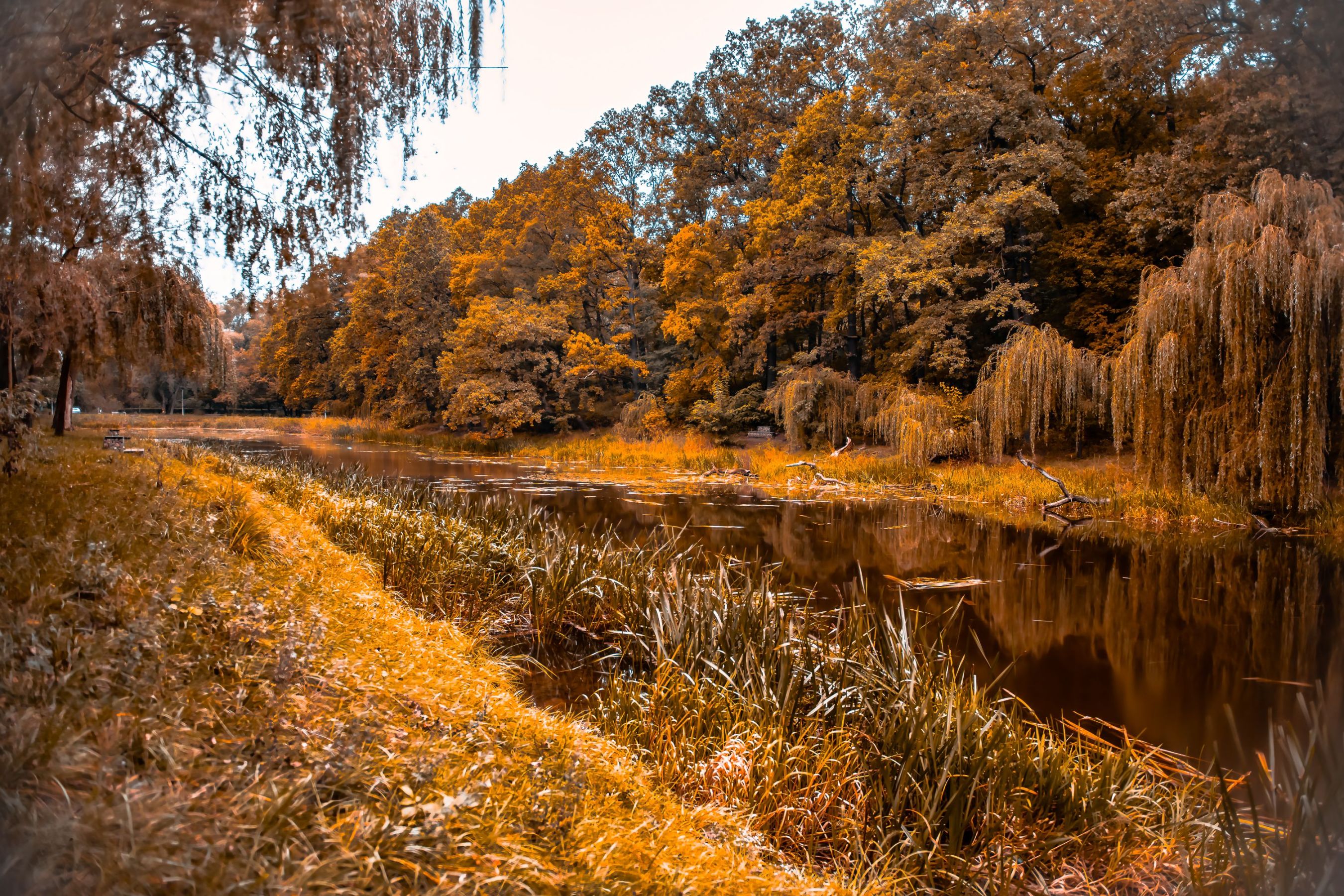 Krzysztof Jaworski-3